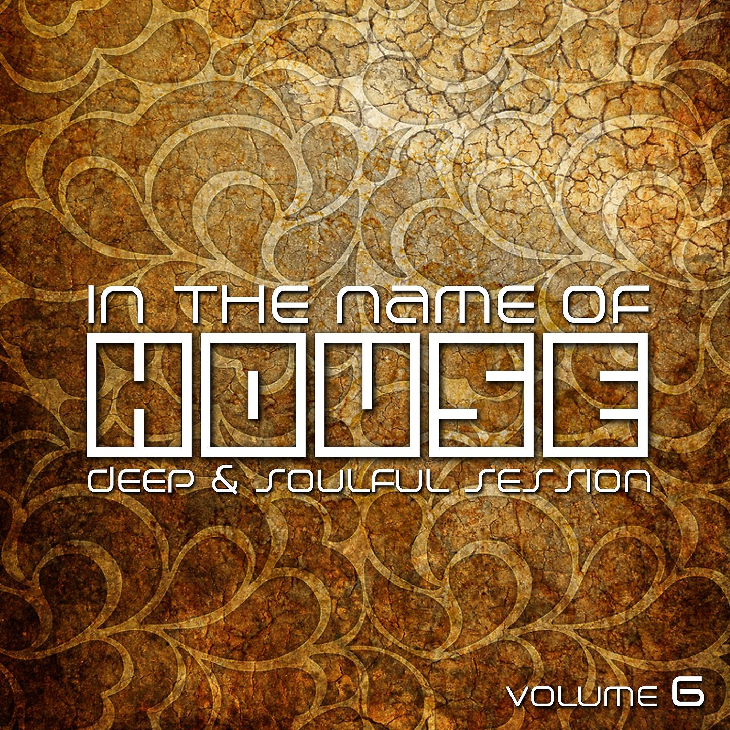 Постер альбома In the Name of House, Vol. 6
