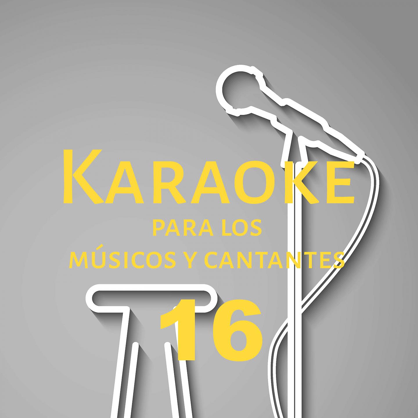 Постер альбома Karaoke para los músicos y cantantes, Vol. 16