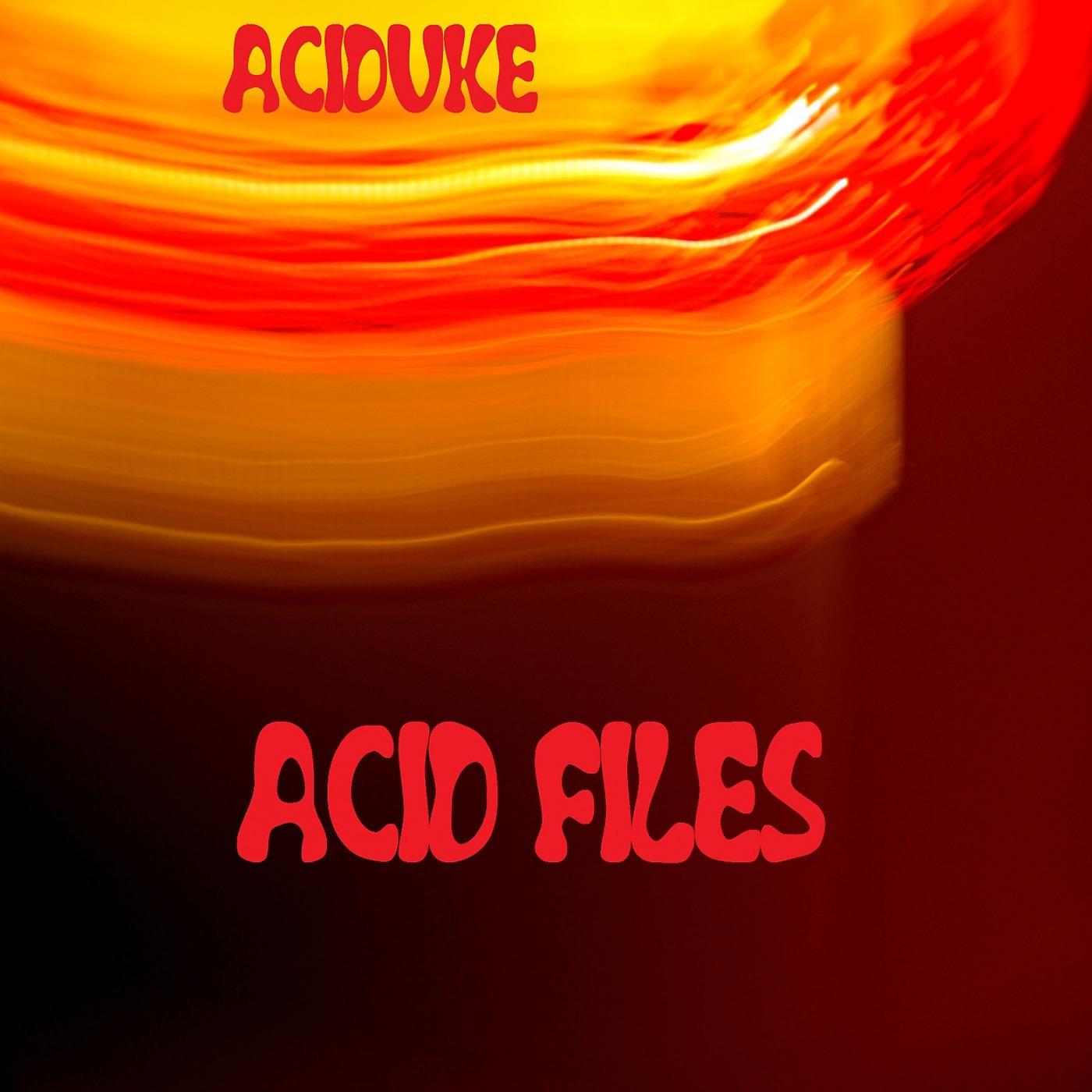 Постер альбома Acid Files