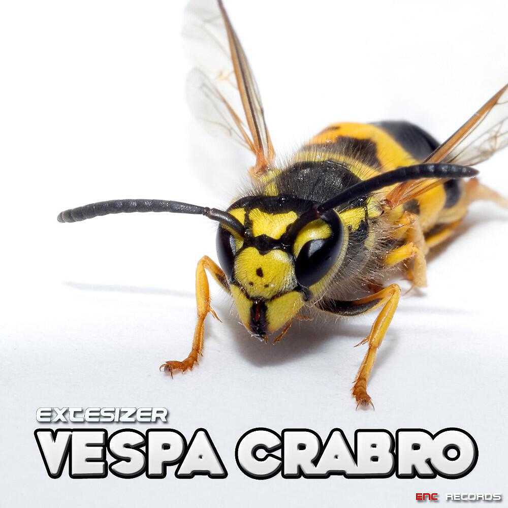 Extesizer - Vespa Crabro (Original Mix)
