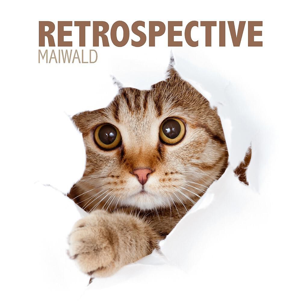 Maiwald - Retrospective Intro