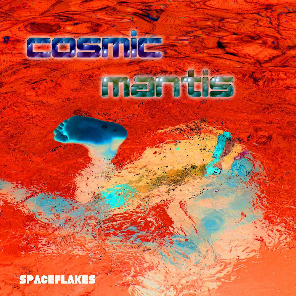 Cosmic Mantis - Dob Myself