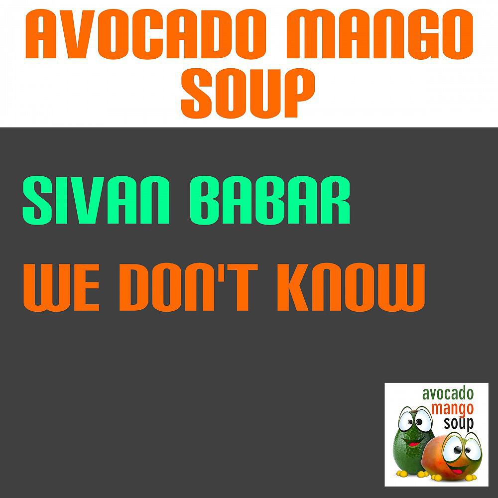 Sivan Babar - We Don't Know (Edit)