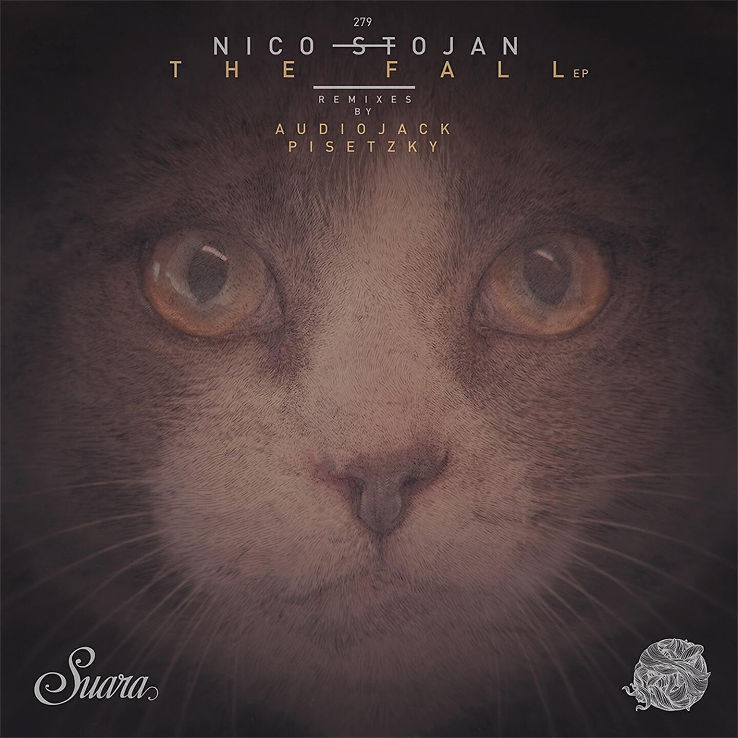 Nico Stojan - Imagination (Audiojack Remix)
