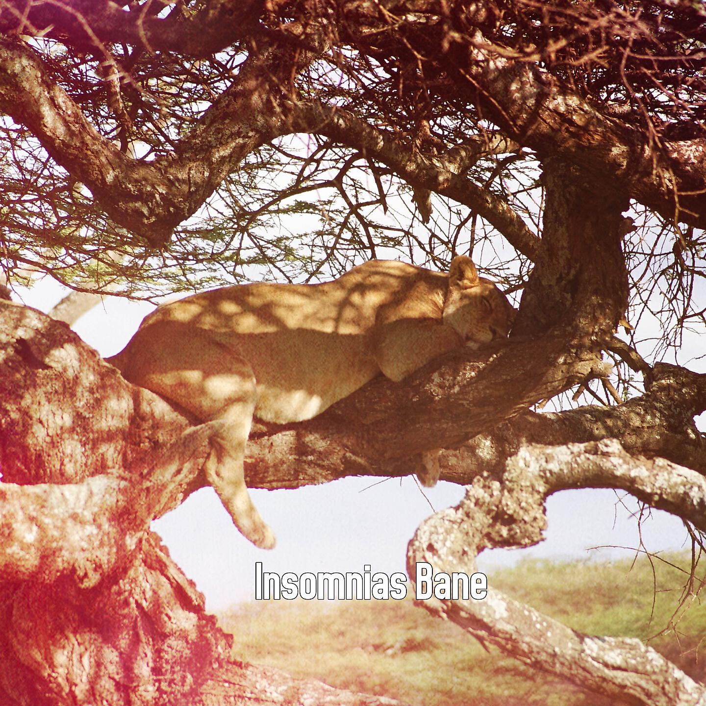 All Night Sleeping Songs to Help You Relax - Faint Chirping Through The Storm