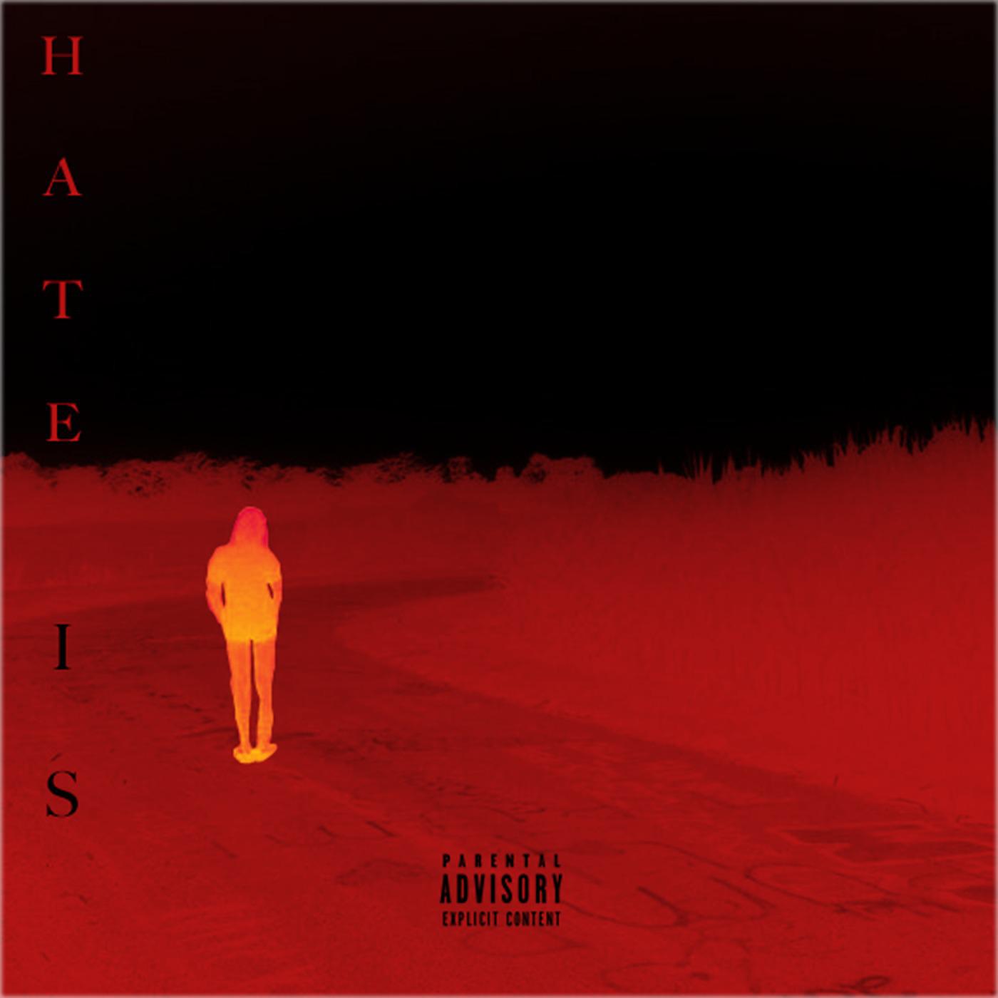 Постер альбома Hate Is