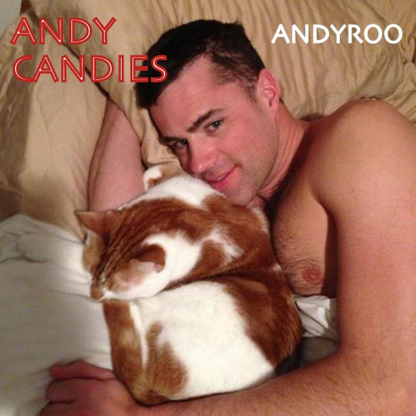 Постер альбома Andy Candies