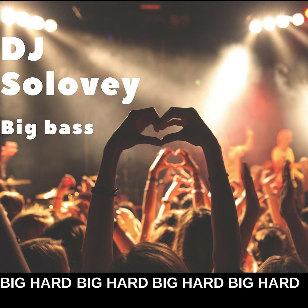 Постер альбома Big Bass