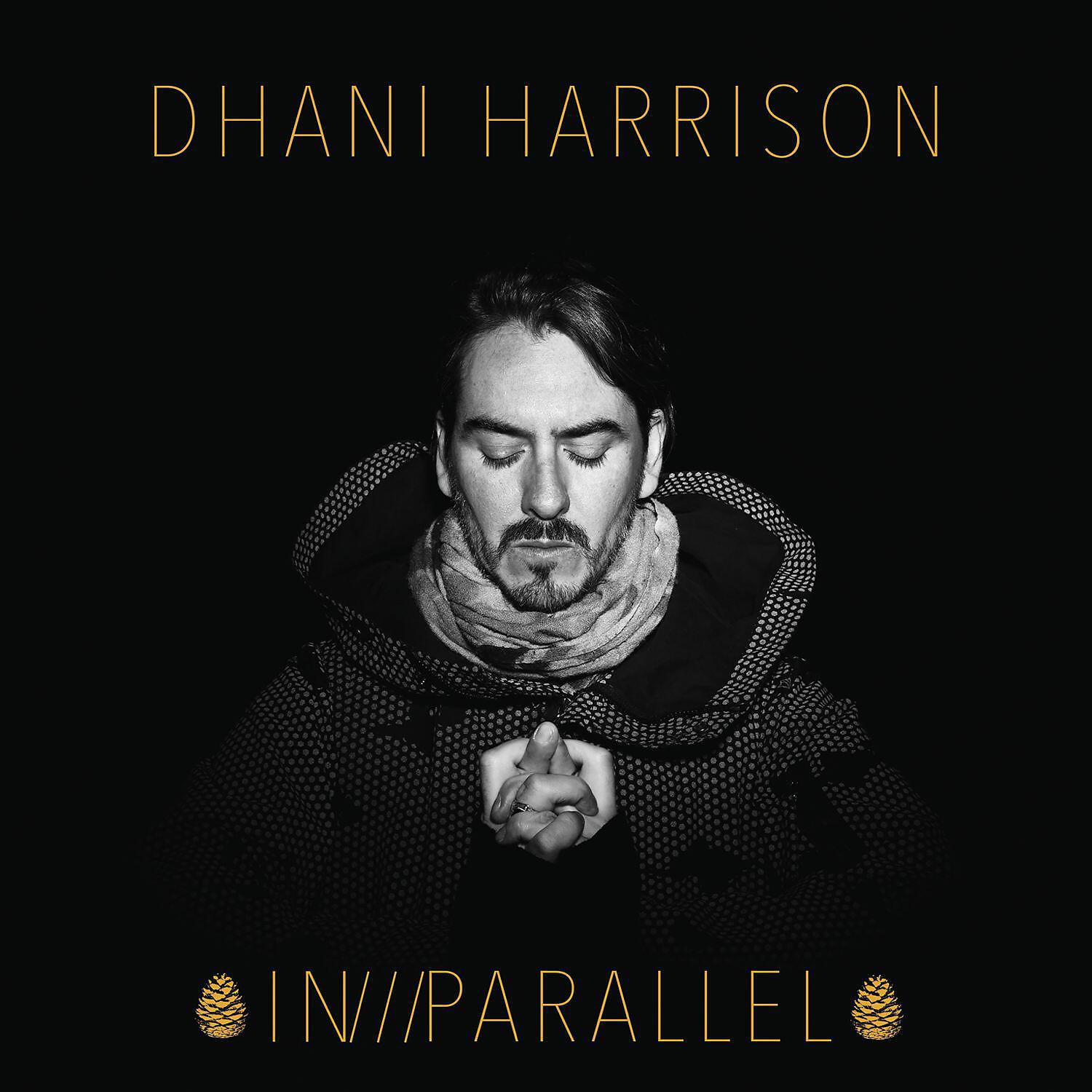 Dhani Harrison - Downtown Tigers