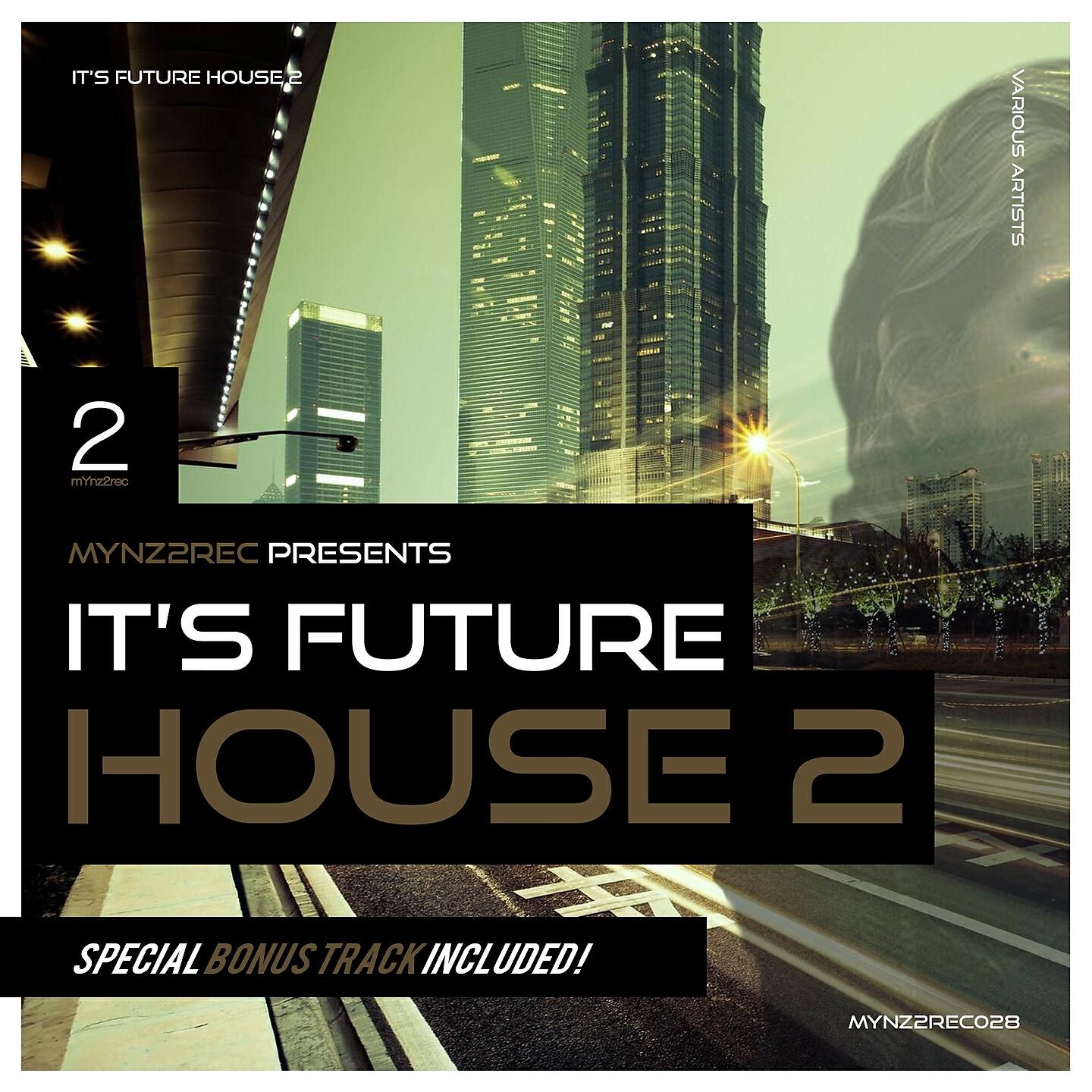 Fanatic Funk - Playas Woes (Club Mix)