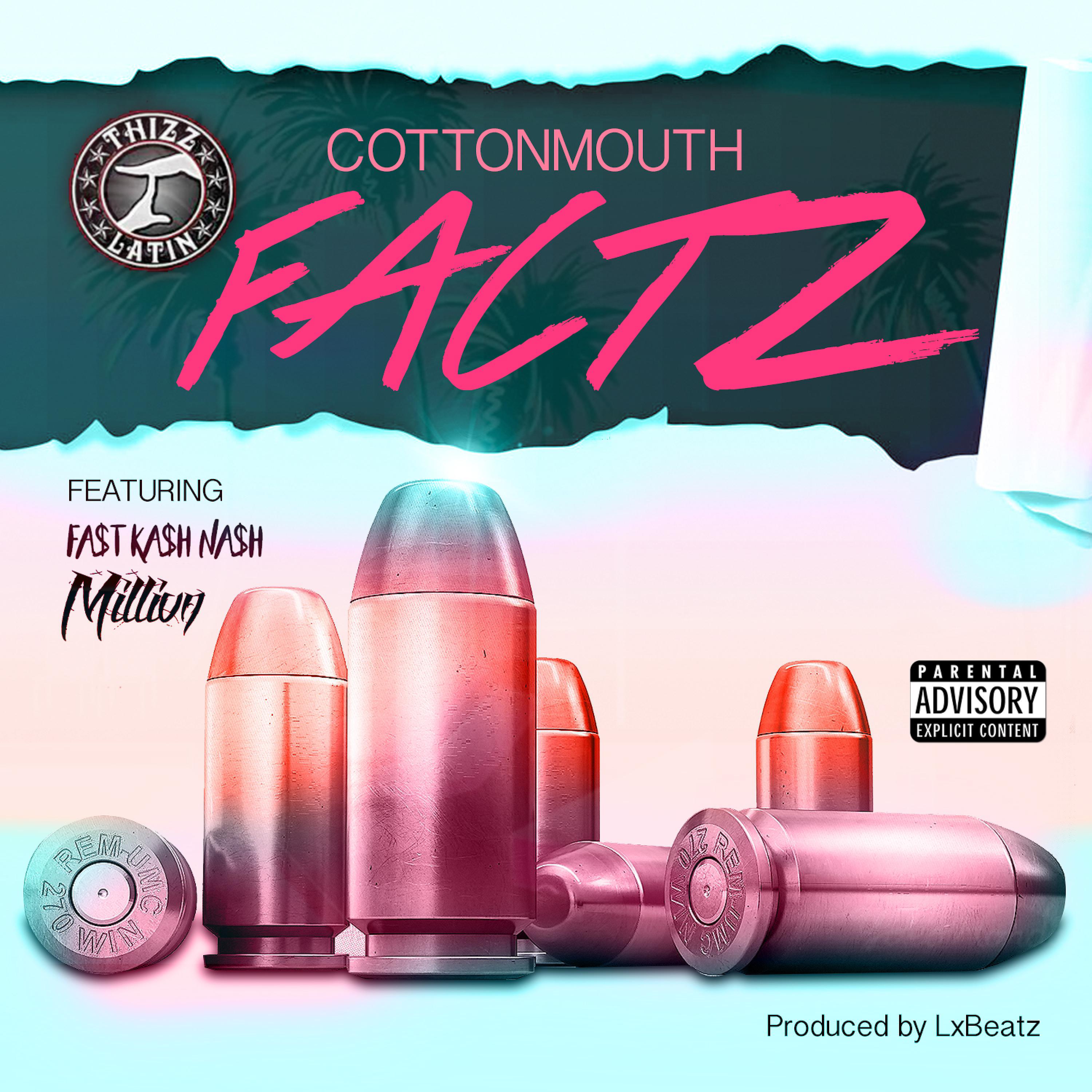 Постер альбома Factz (feat. Fa$t Ka$h Na$h & Million)