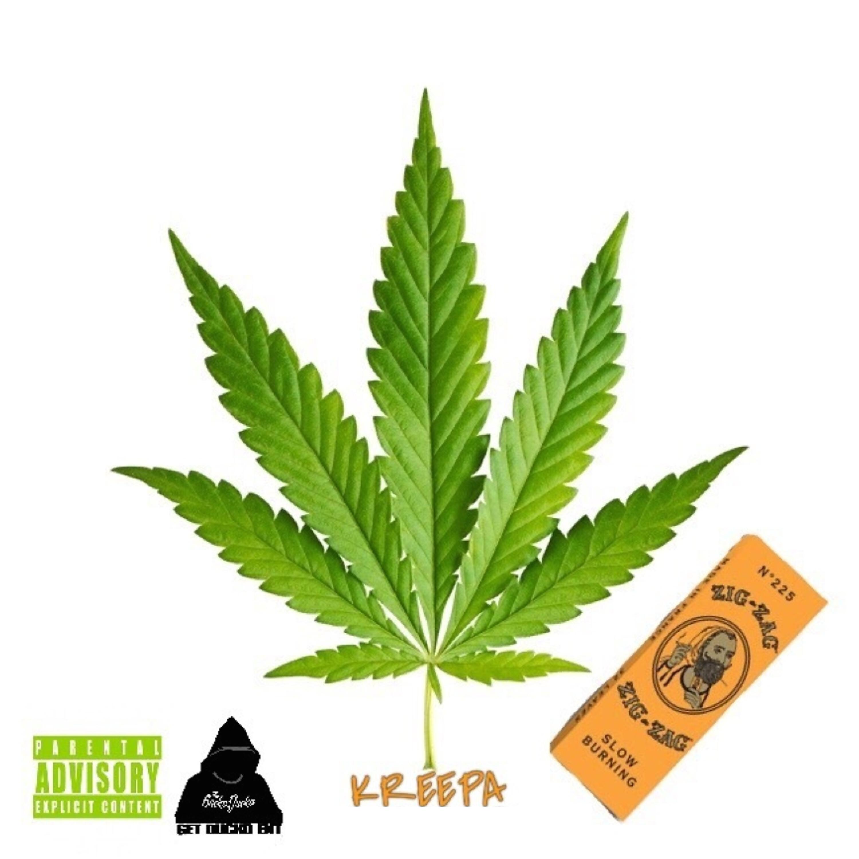 Kreepa - No Sticks No Seeds (feat. T Shawty & Dopey)