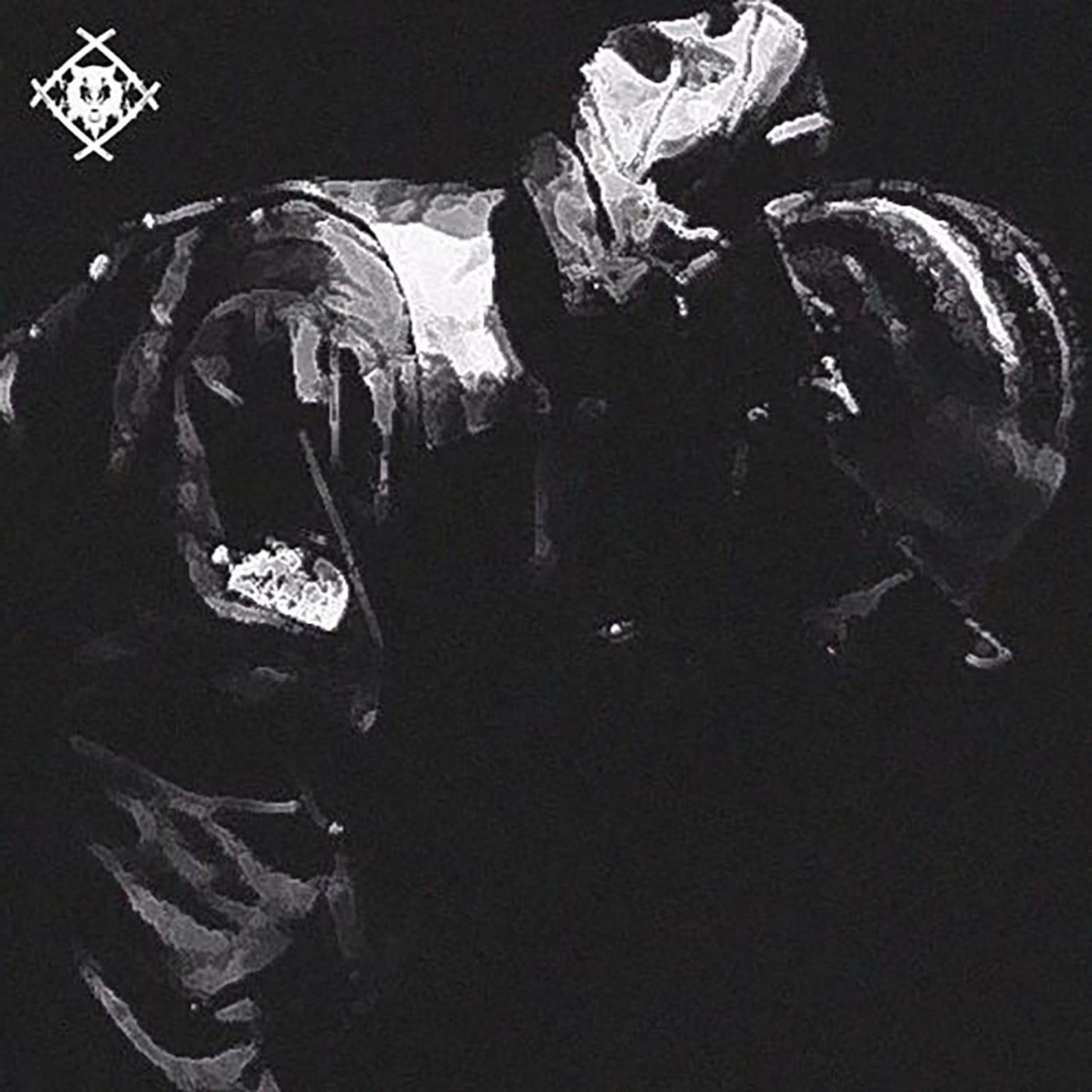Xavier WULF - Front Man Wulf