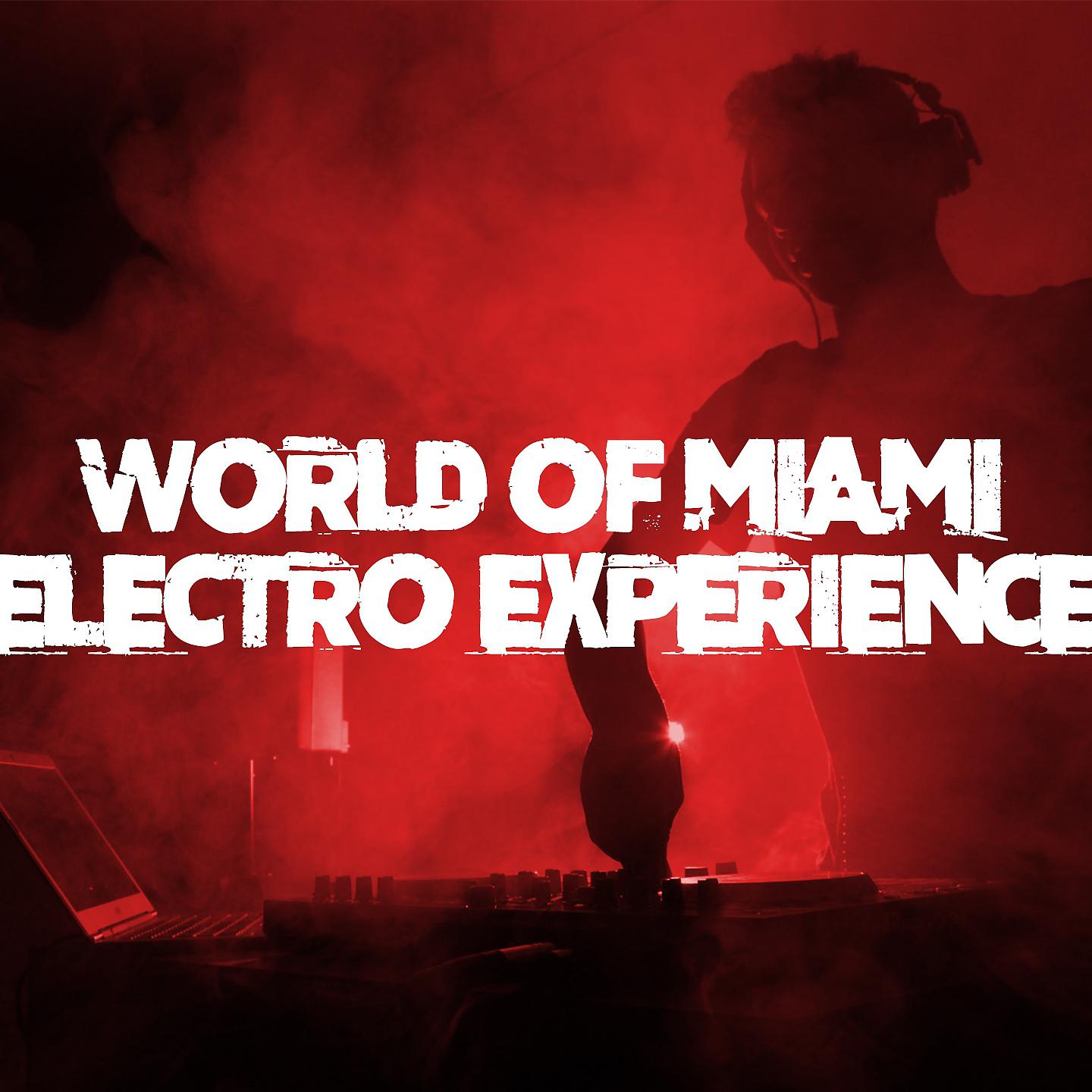 Постер альбома World of Miami Electro Experience