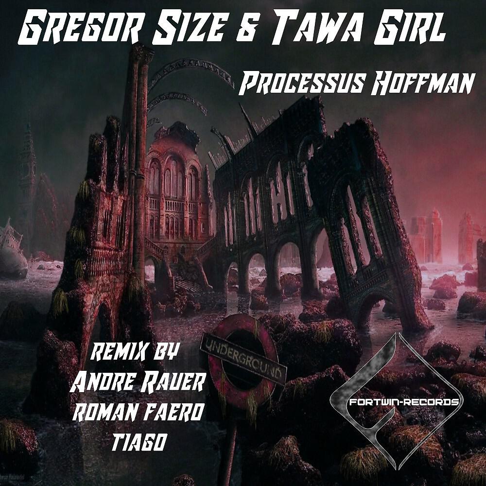 Gregor Size & Tawa Girl - Processus Hoffman (Roman Faero Remix)