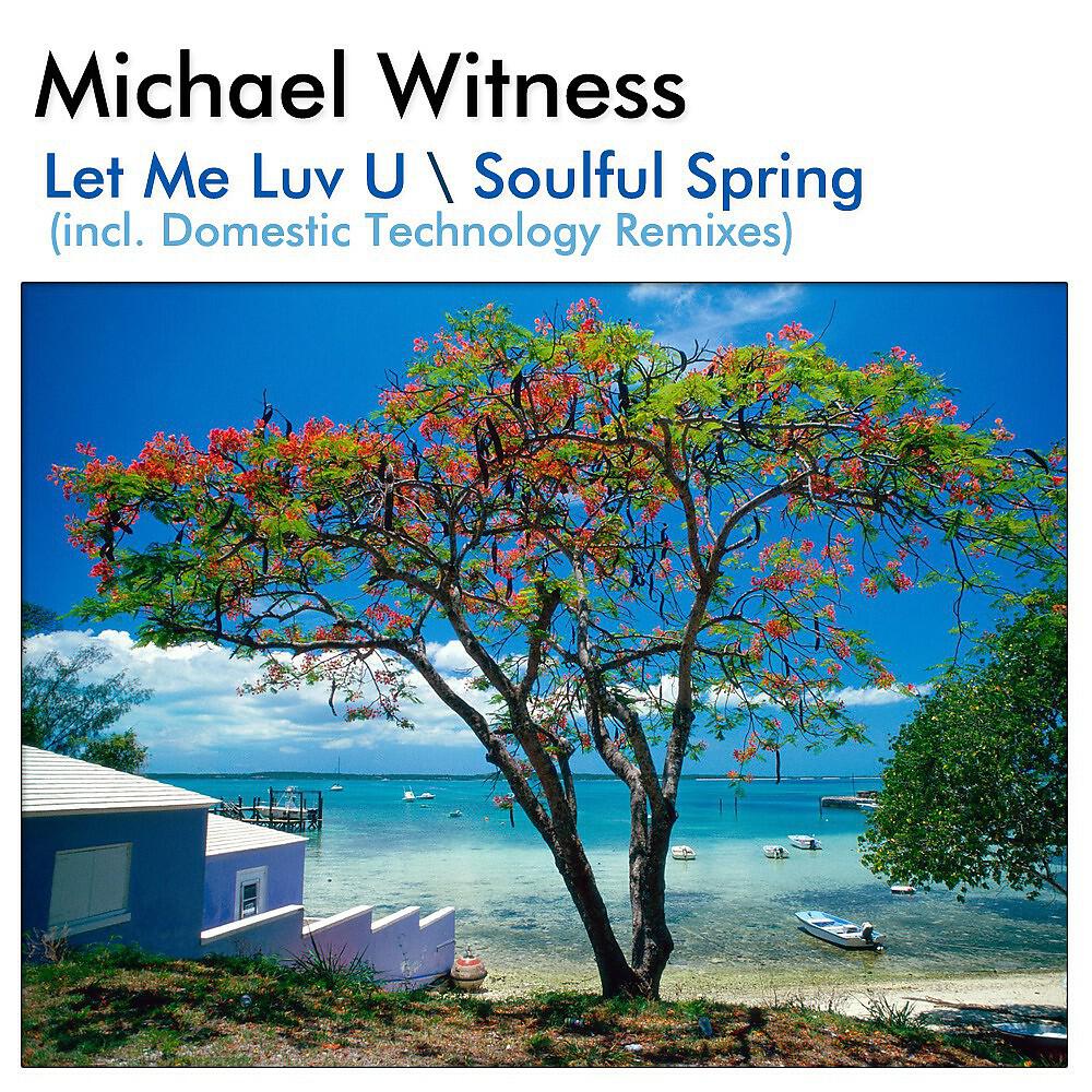 Michael Witness - Soulful Spring (Domestic Technology Remix)