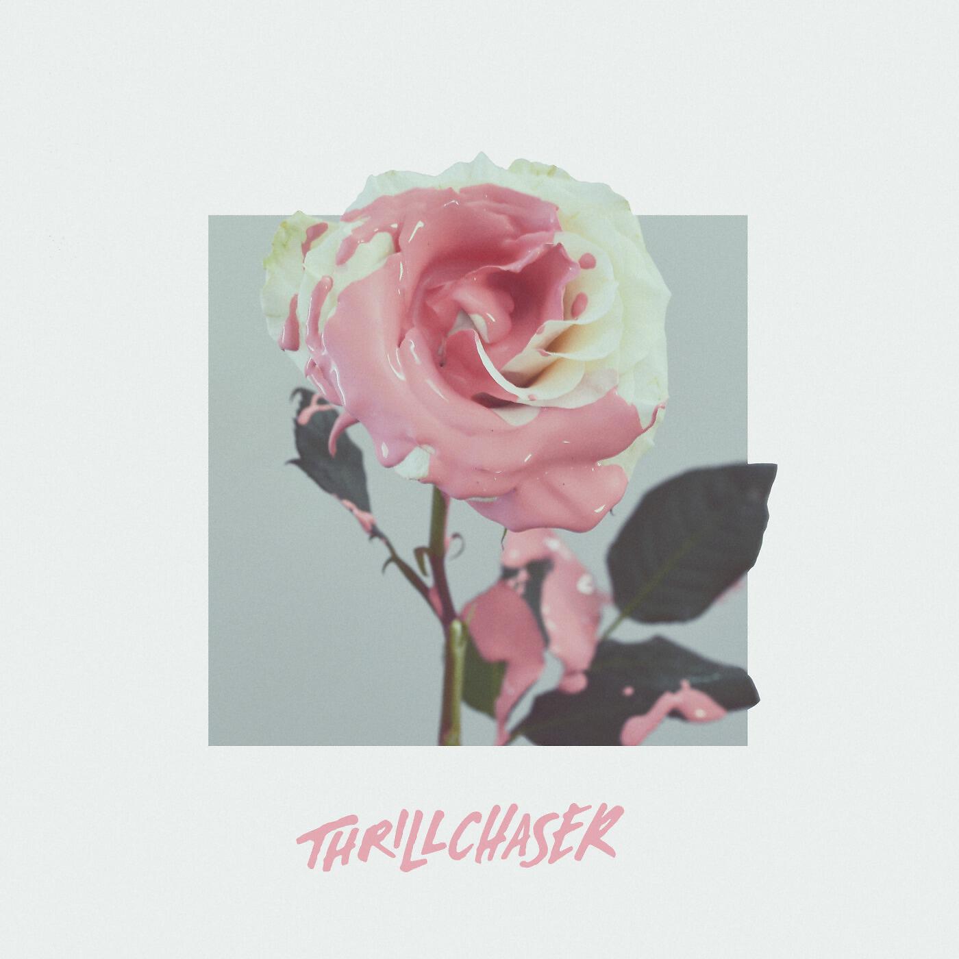THRILLCHASER - Wildflower