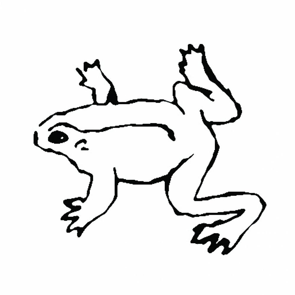 Постер альбома Frogs