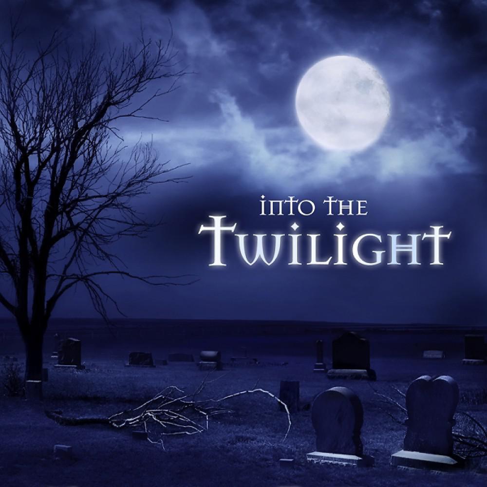Постер альбома Into the Twilight