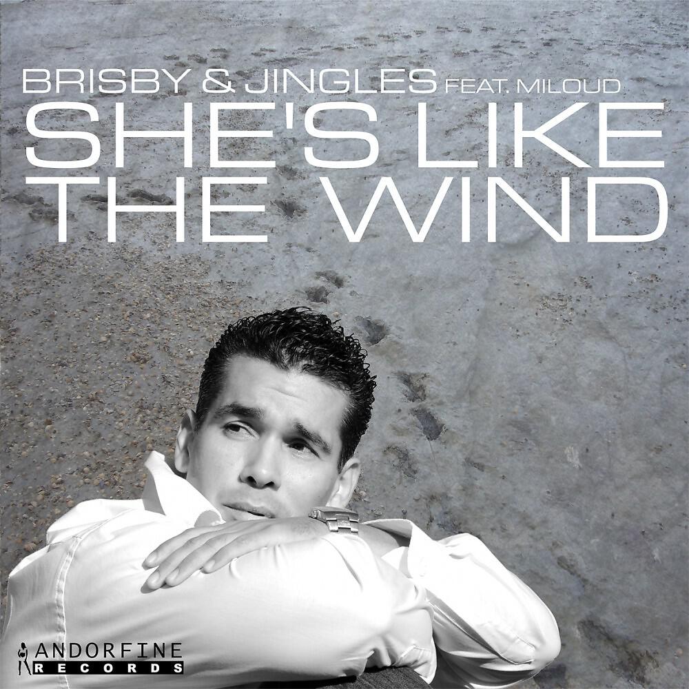 Brisby - She´s Like The Wind (Tim Verba Remix)
