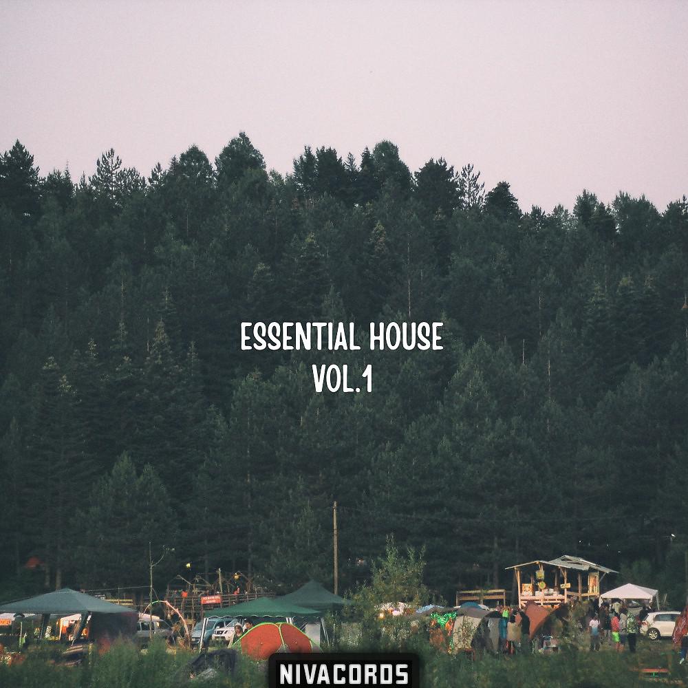 Постер альбома Essential House, Vol. 1