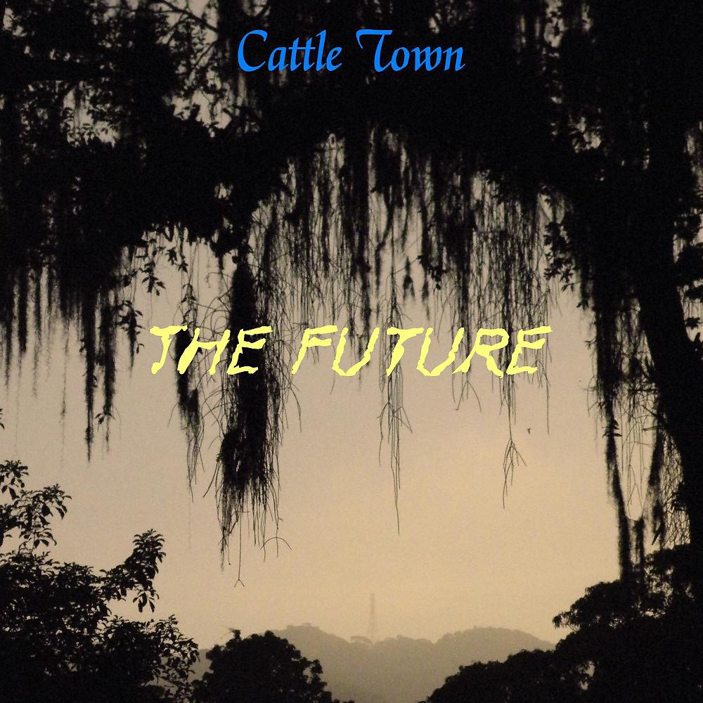 Постер альбома Cattle Town