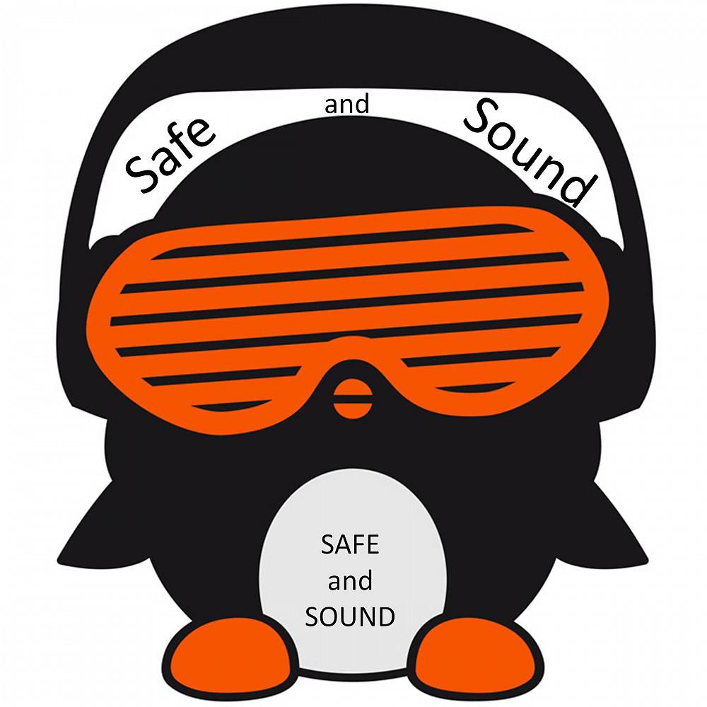 Постер альбома Safe and Sound