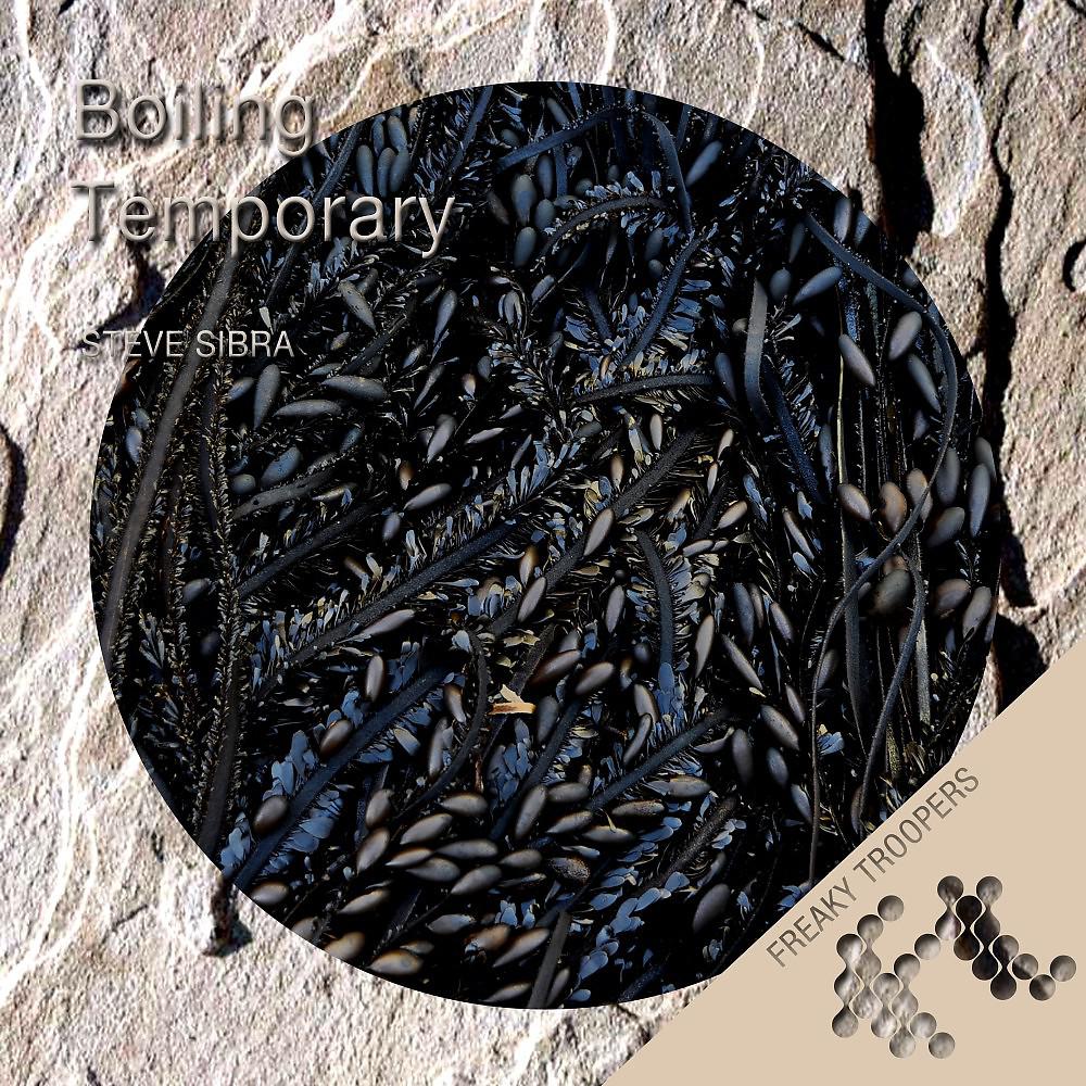 Постер альбома Boiling / Temporary