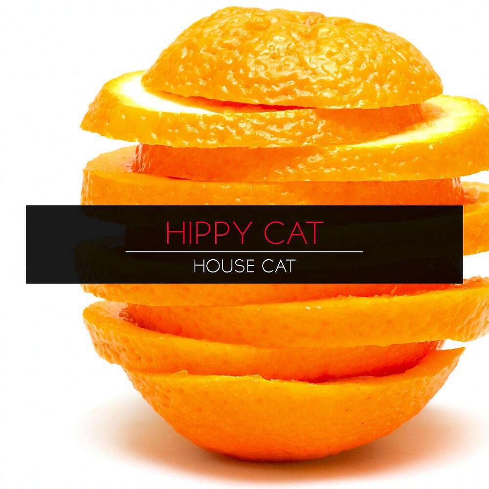 Hippy Cat - Hits&tones (Original Mix)