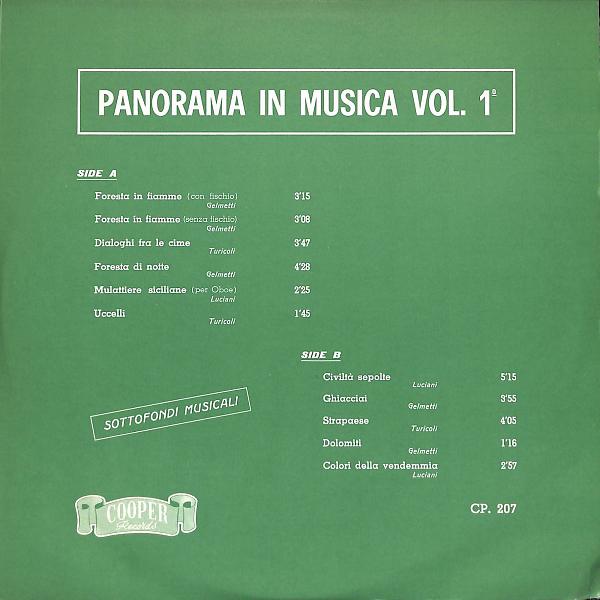 Постер альбома Panorama in musica Vol.1°