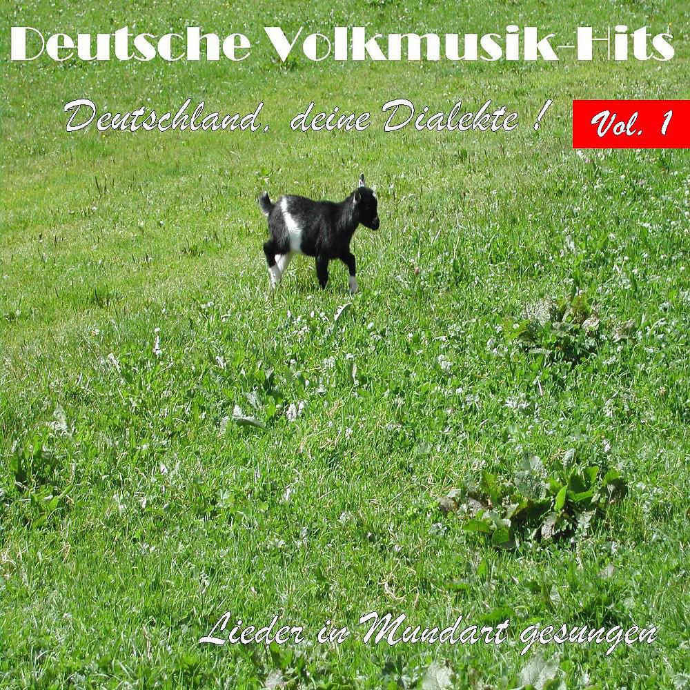 Постер альбома Deutsche Volksmusik Hits - Deutschland, deine Dialekte! Lieder in Mundart gesungen, Vol. 1