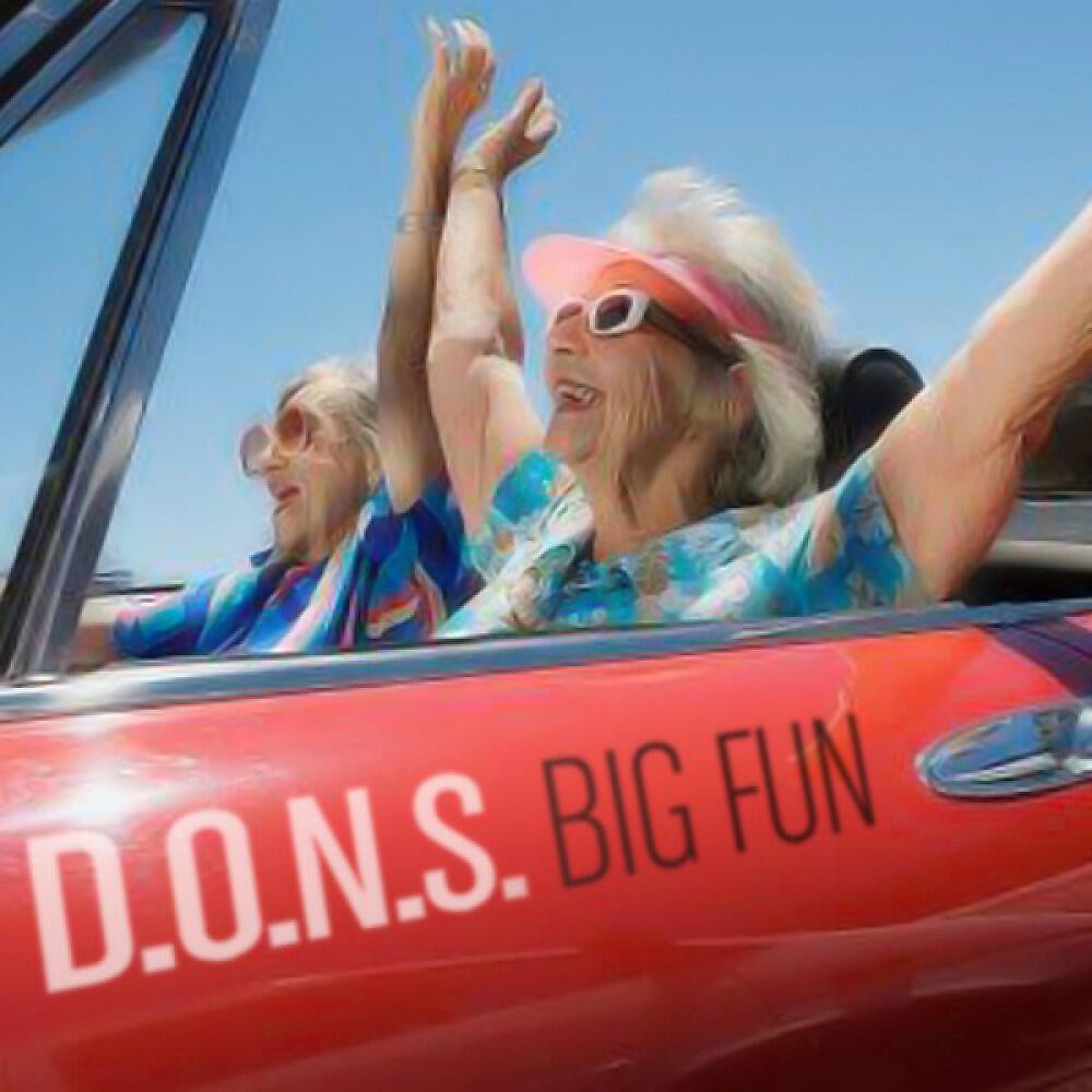 D.O.N.S. - Big Fun (Work It To The Bone Mix)