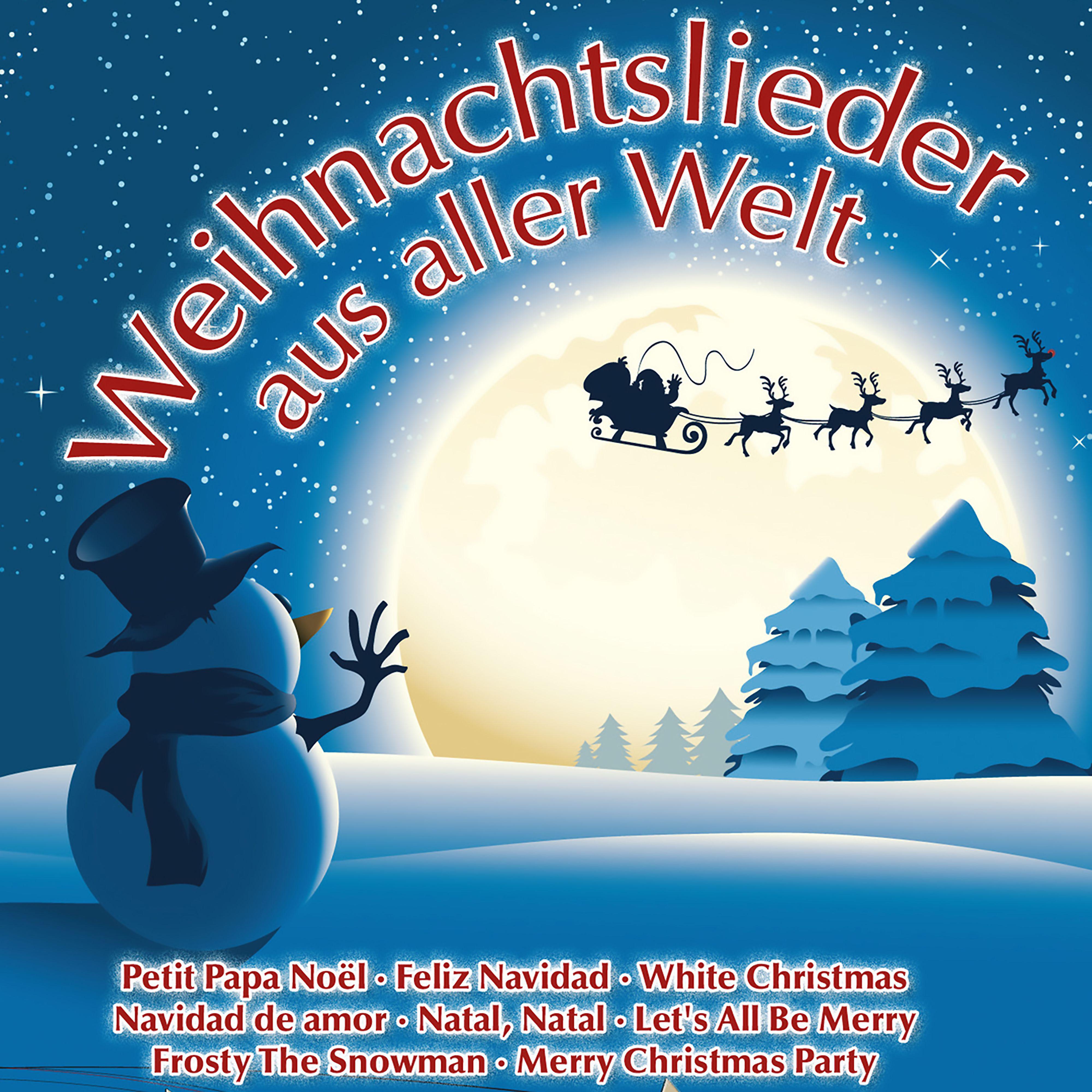 Постер альбома Weihnachtslieder aus aller Welt
