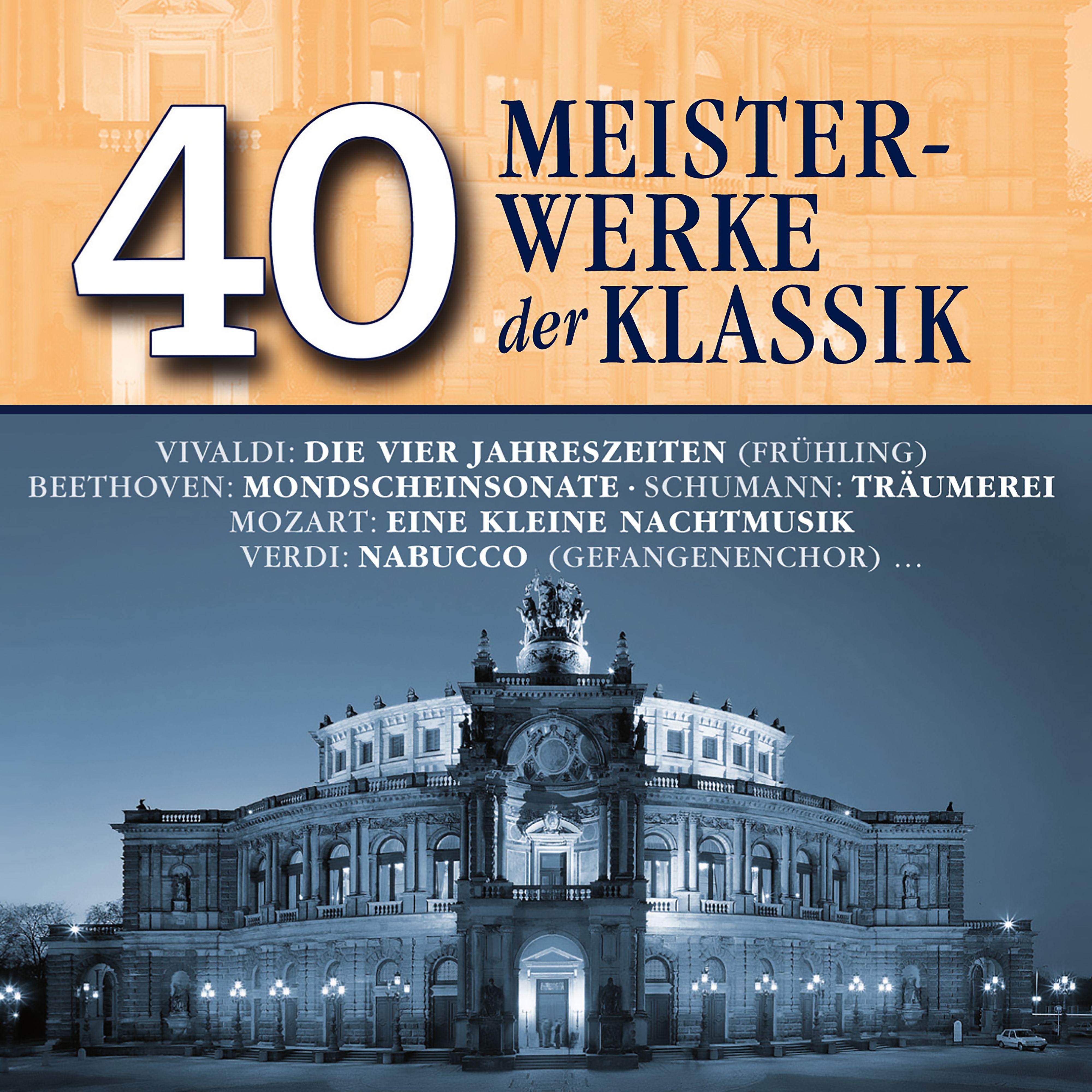Постер альбома 40 Meisterwerke der Klassik