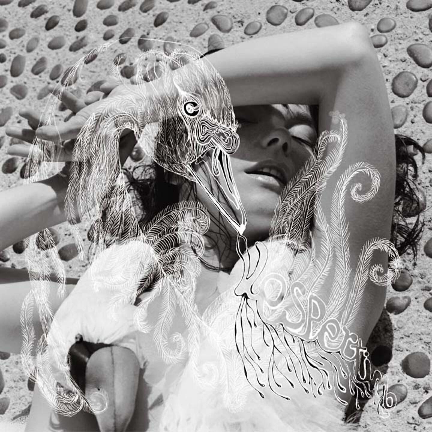 Bjork - An Echo a Stain
