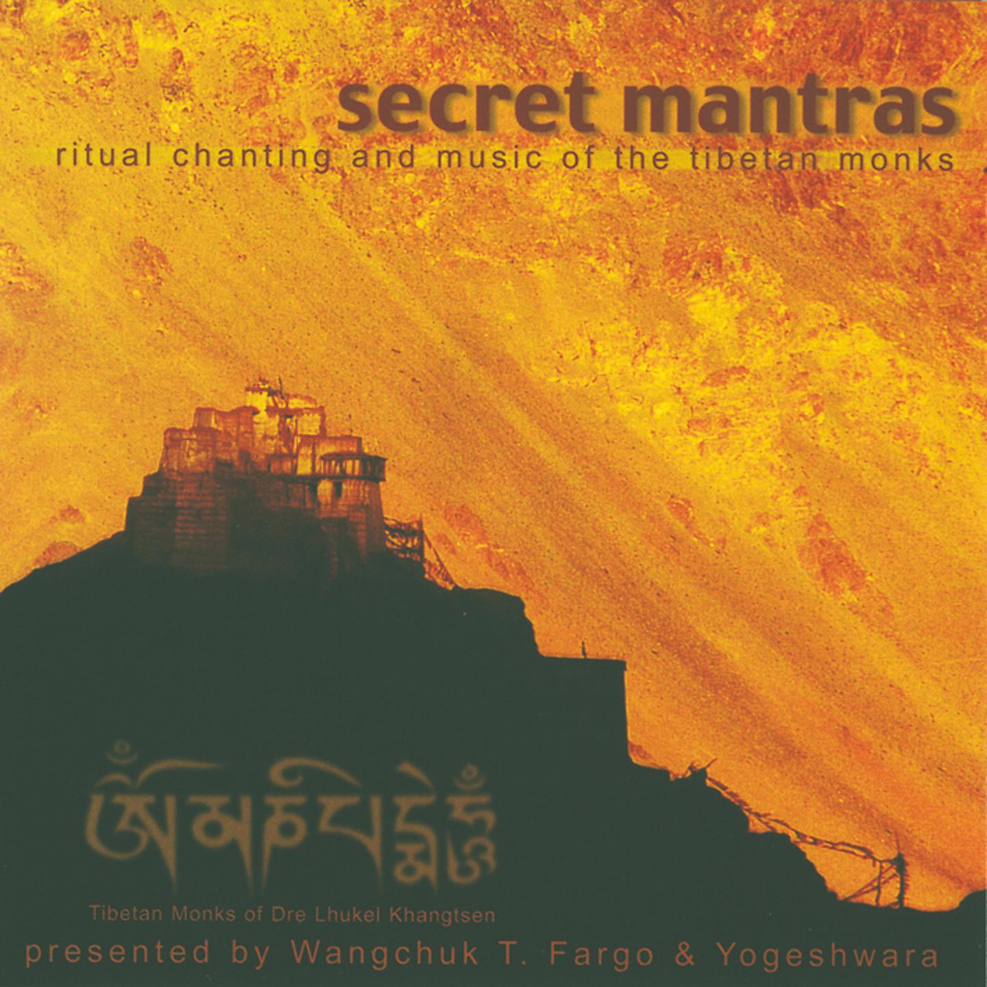 Постер альбома Secret Mantras
