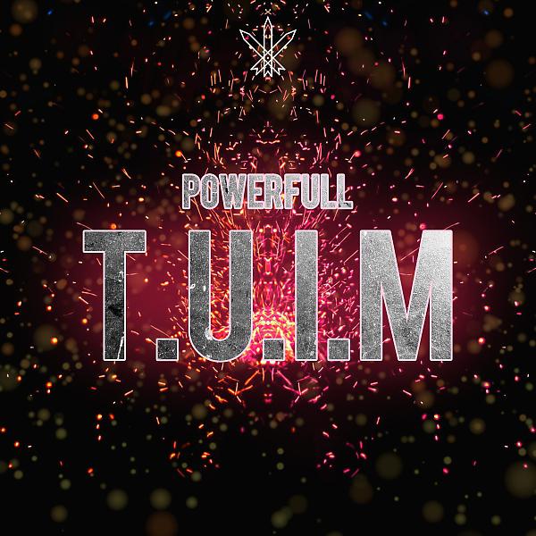 Постер альбома T.U.I.M