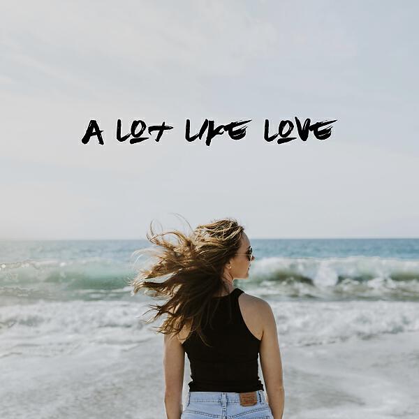 Dubdogz - A Lot Like Love