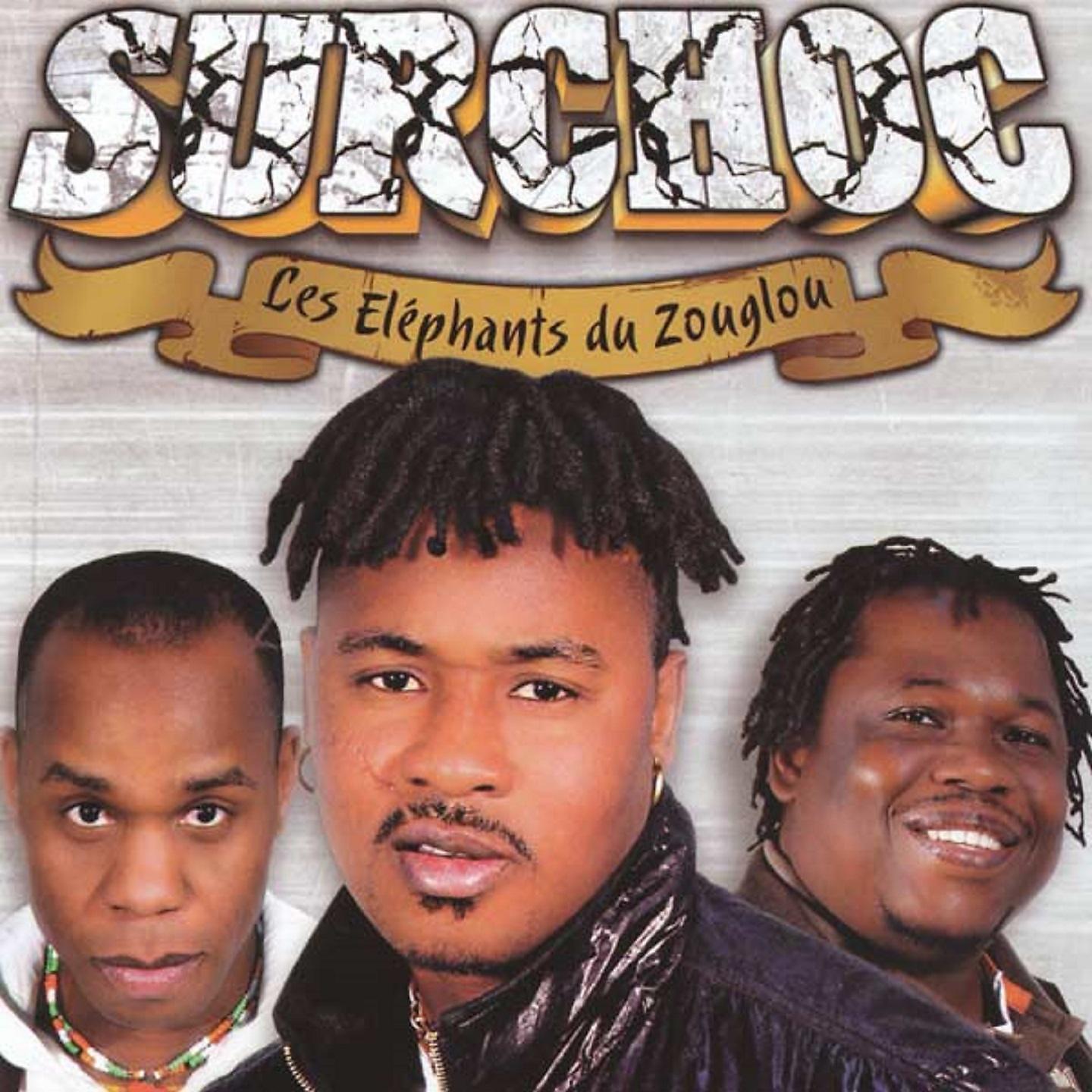 Постер альбома Les éléphants du zouglou
