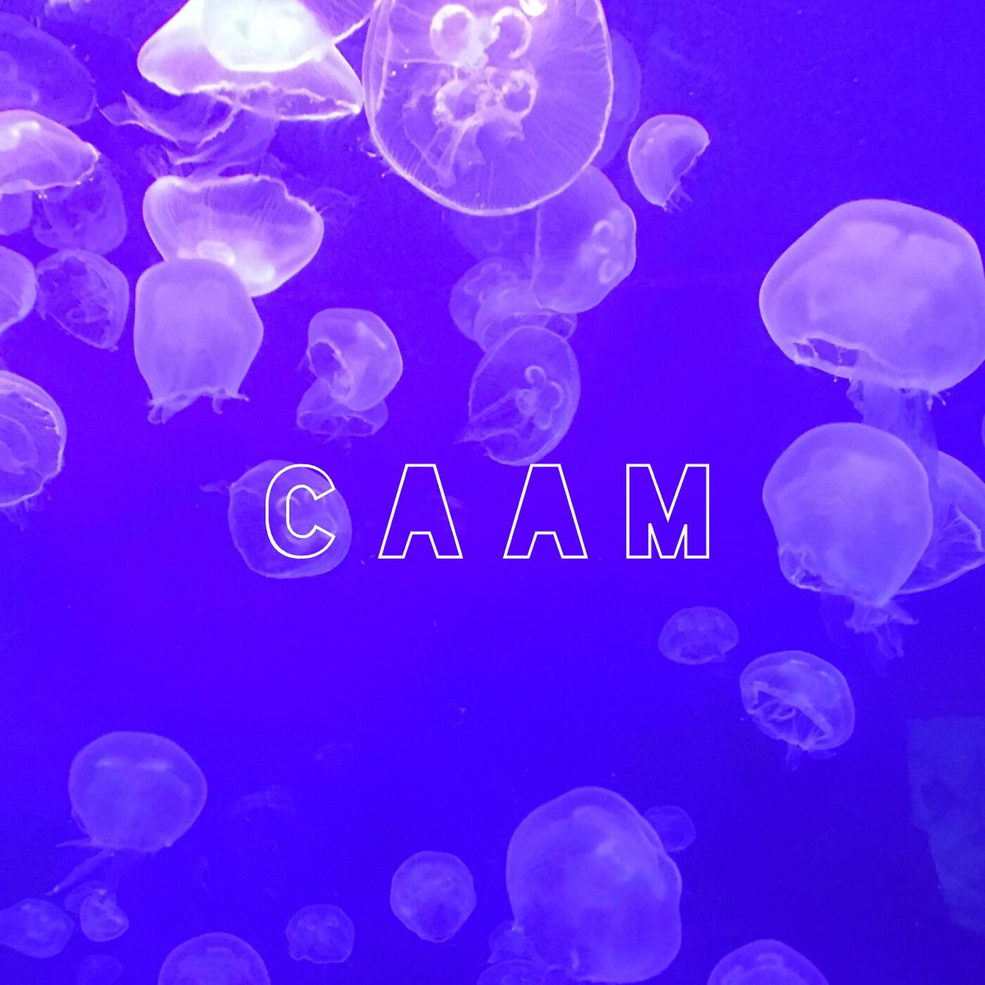 CAAM - Why