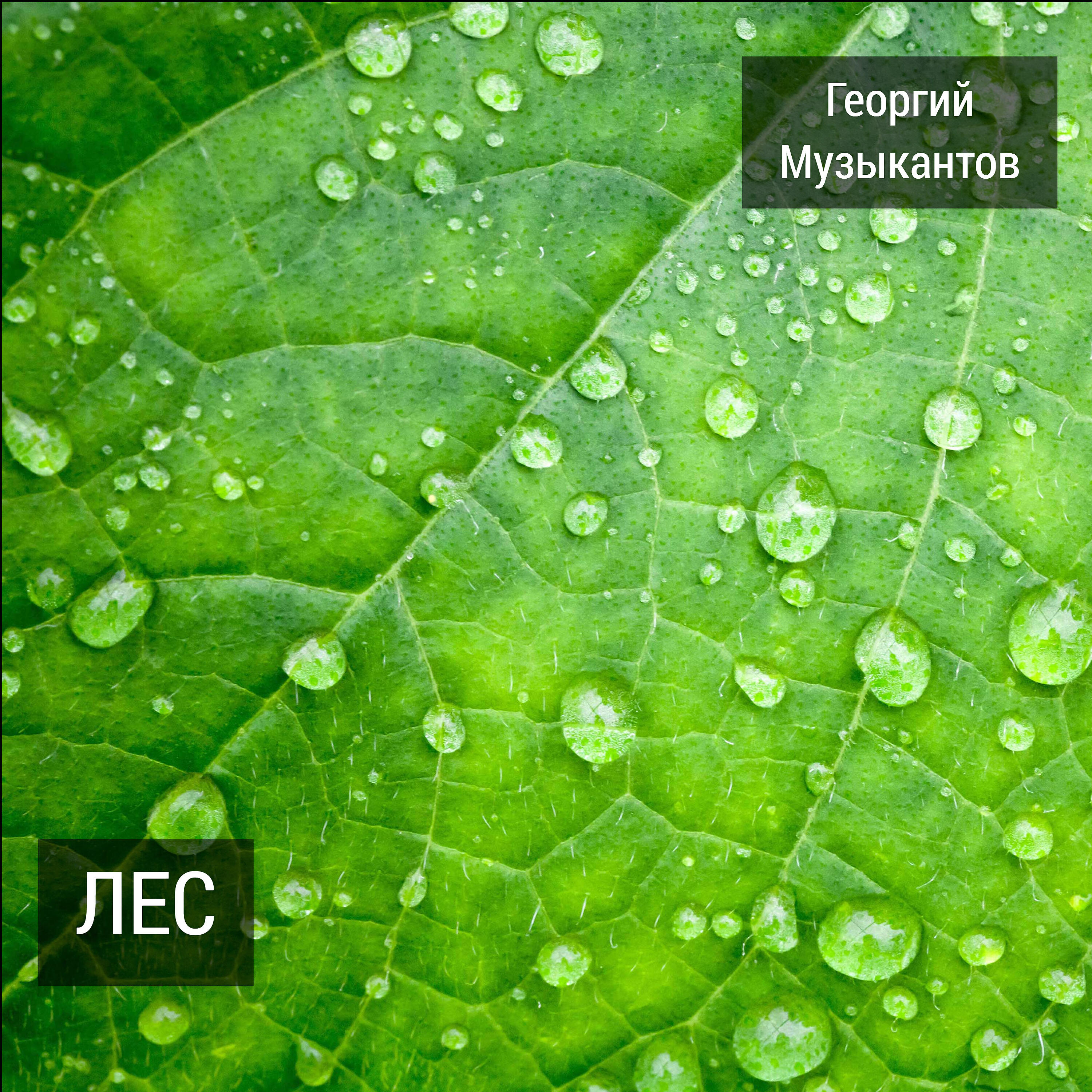 Георгий Музыкантов - Лето уходит как всегда