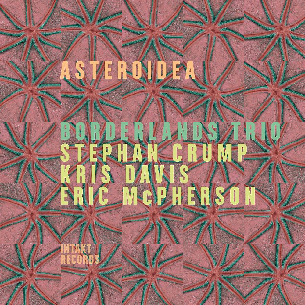 Постер альбома Asteroidea