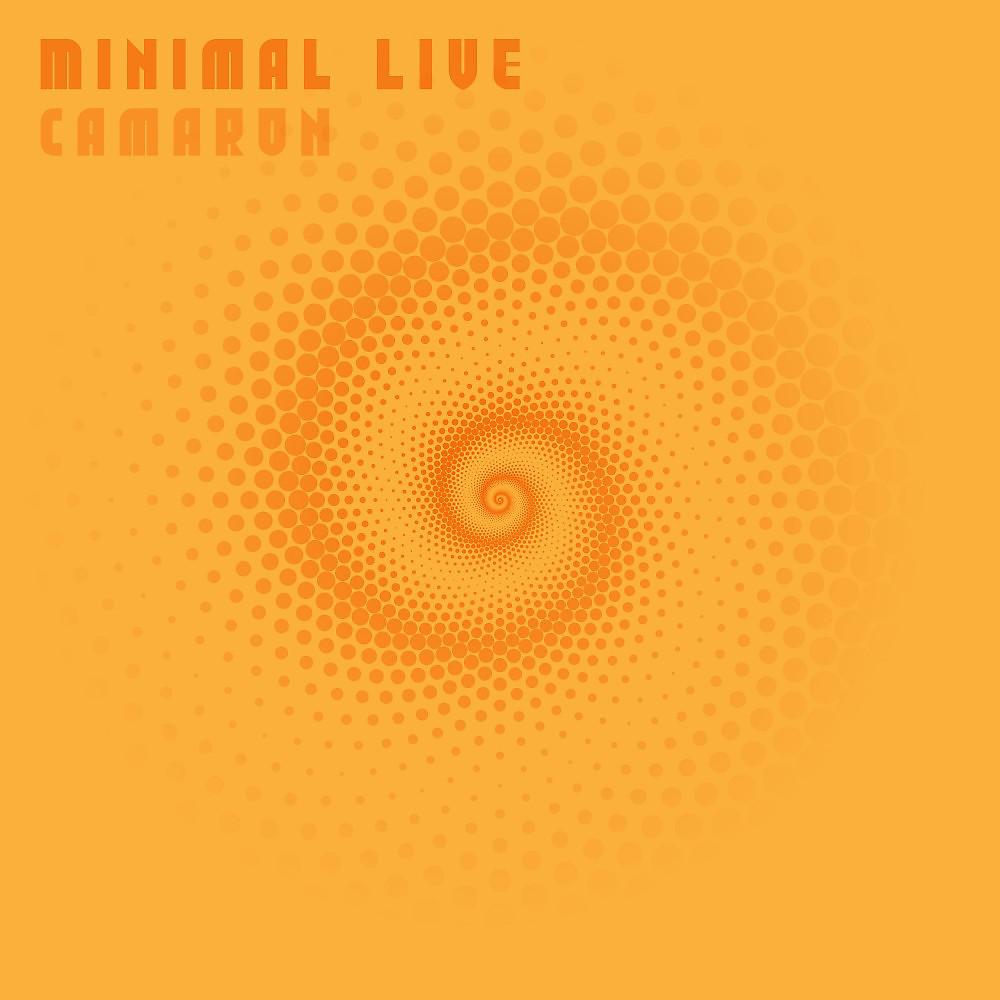 Постер альбома Minimal Live