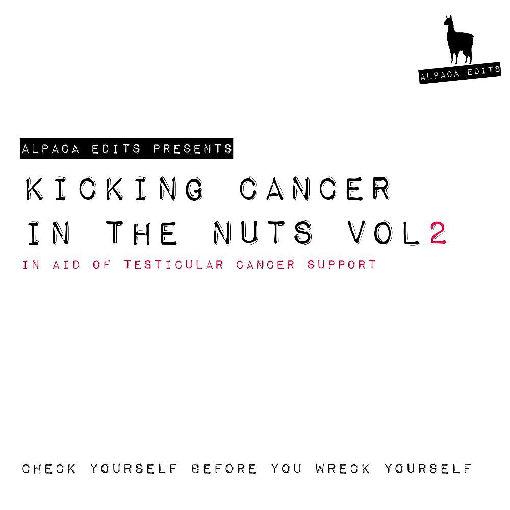 Постер альбома Kicking Cancer in the Nuts, Vol. 2