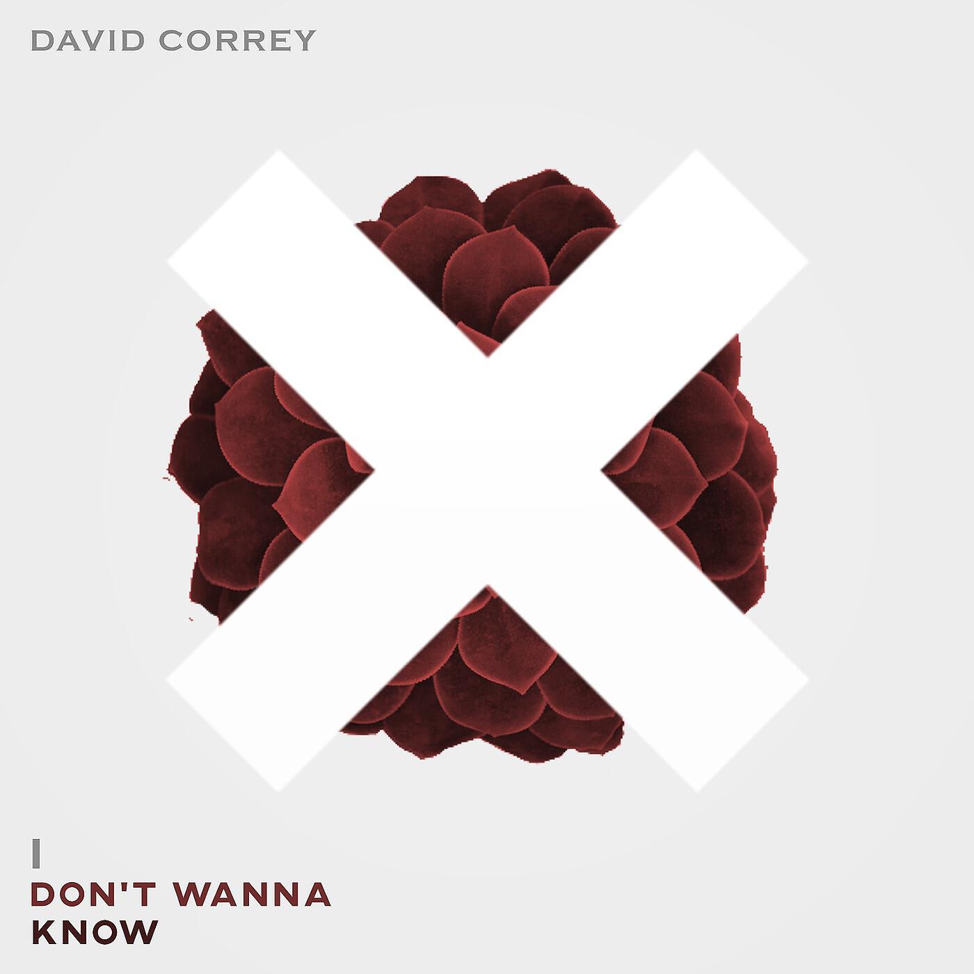 David Correy - I Don't Wanna Know