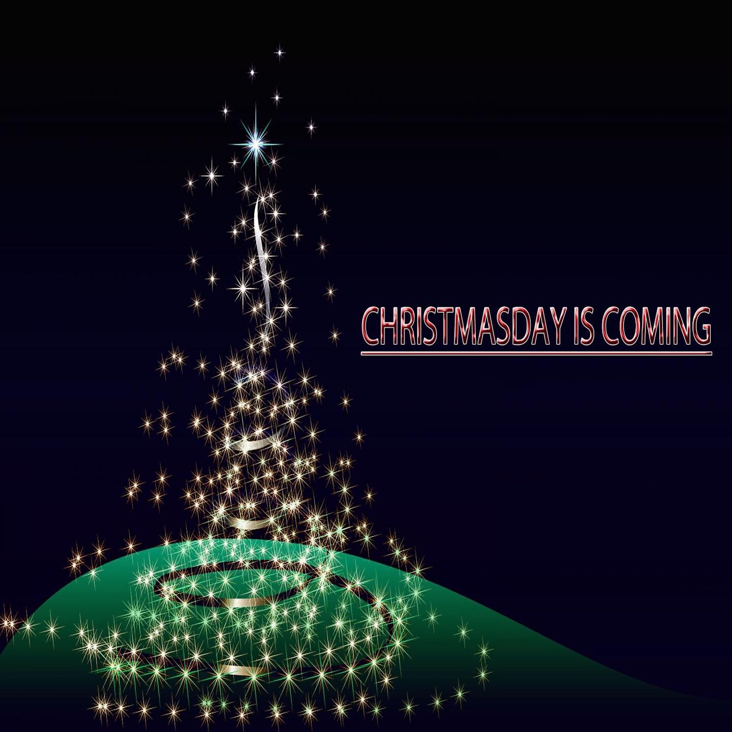 Suzi Miller - I'II Hang My Heart On A Christmas Tree