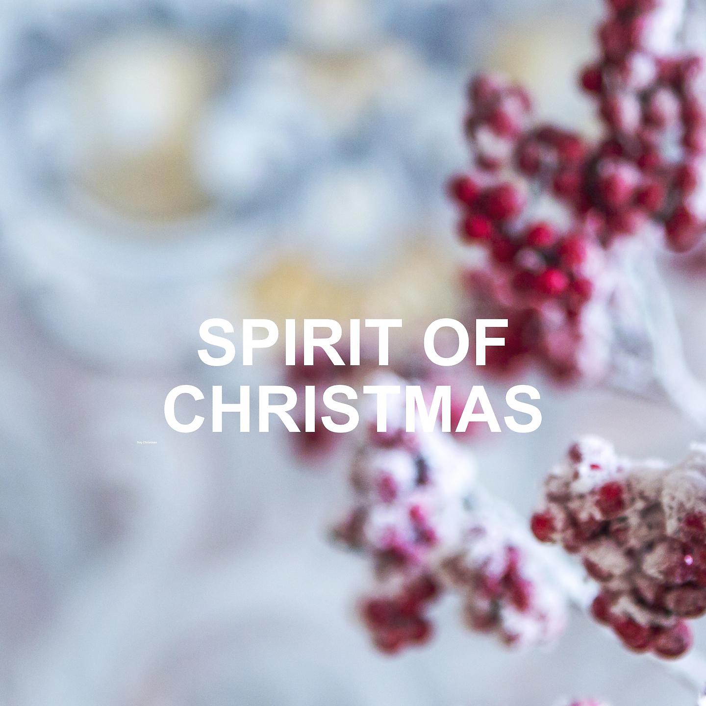 Постер альбома Spirit of Christmas