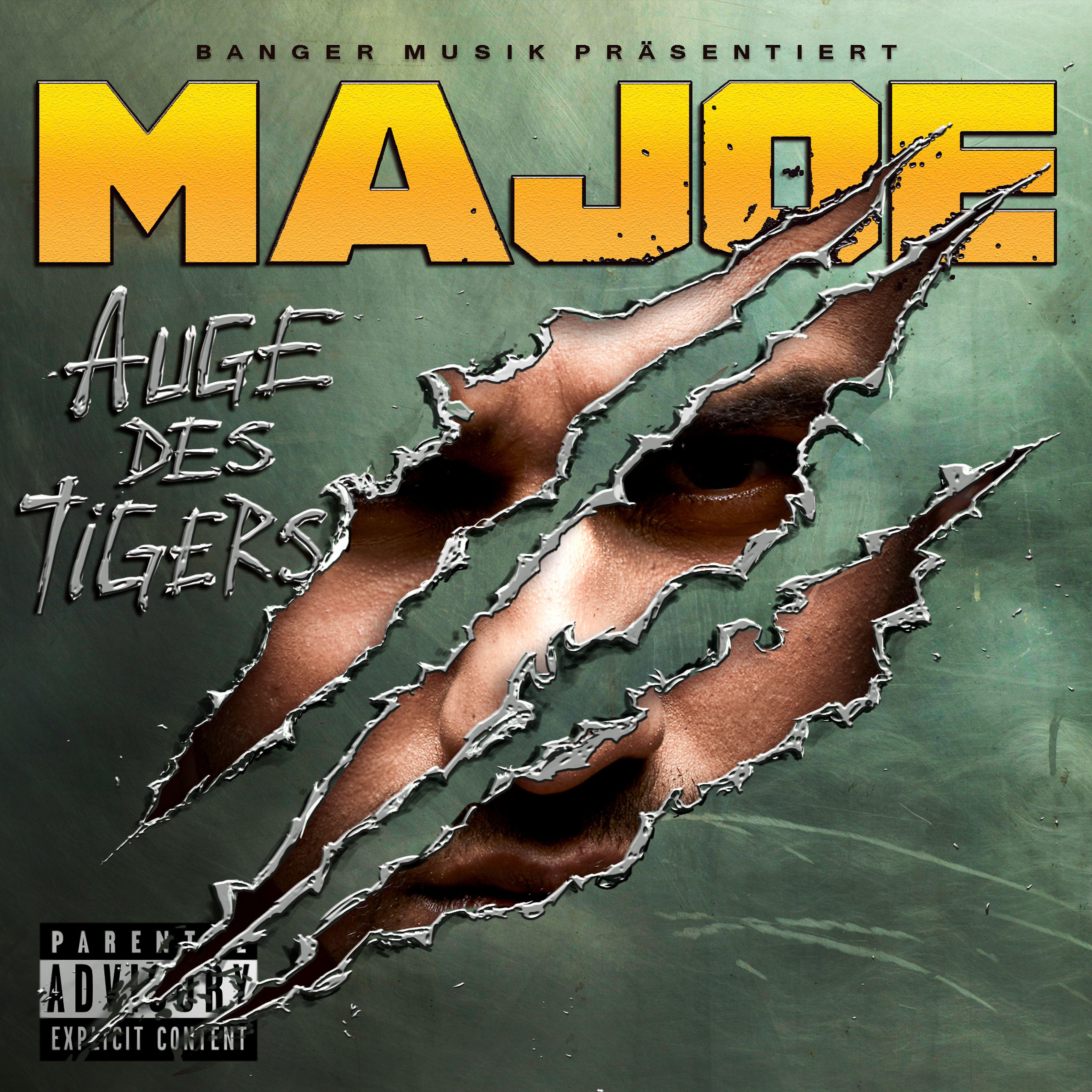 Постер альбома Auge des Tigers (Deluxe Edition)