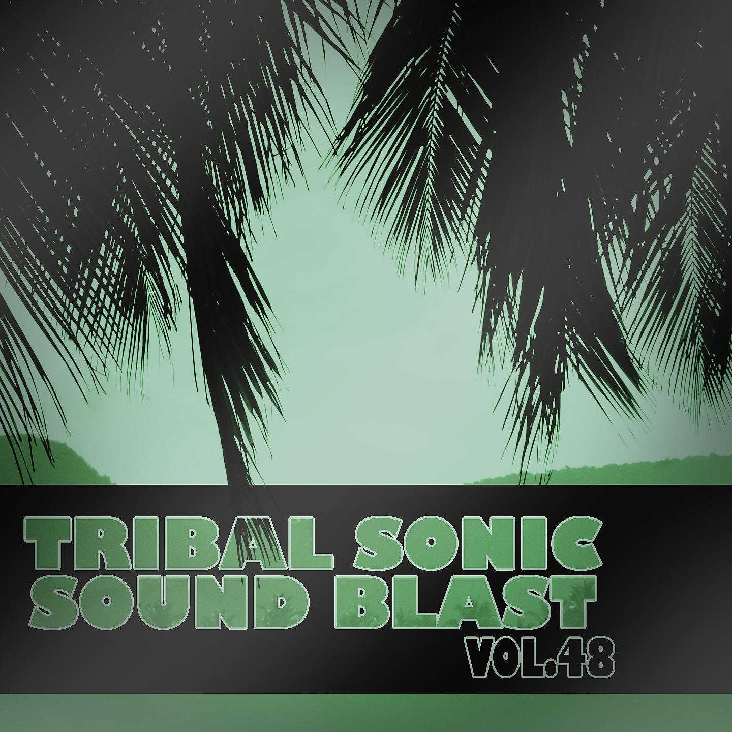 Постер альбома Tribal Sonic Soundblast,Vol.48