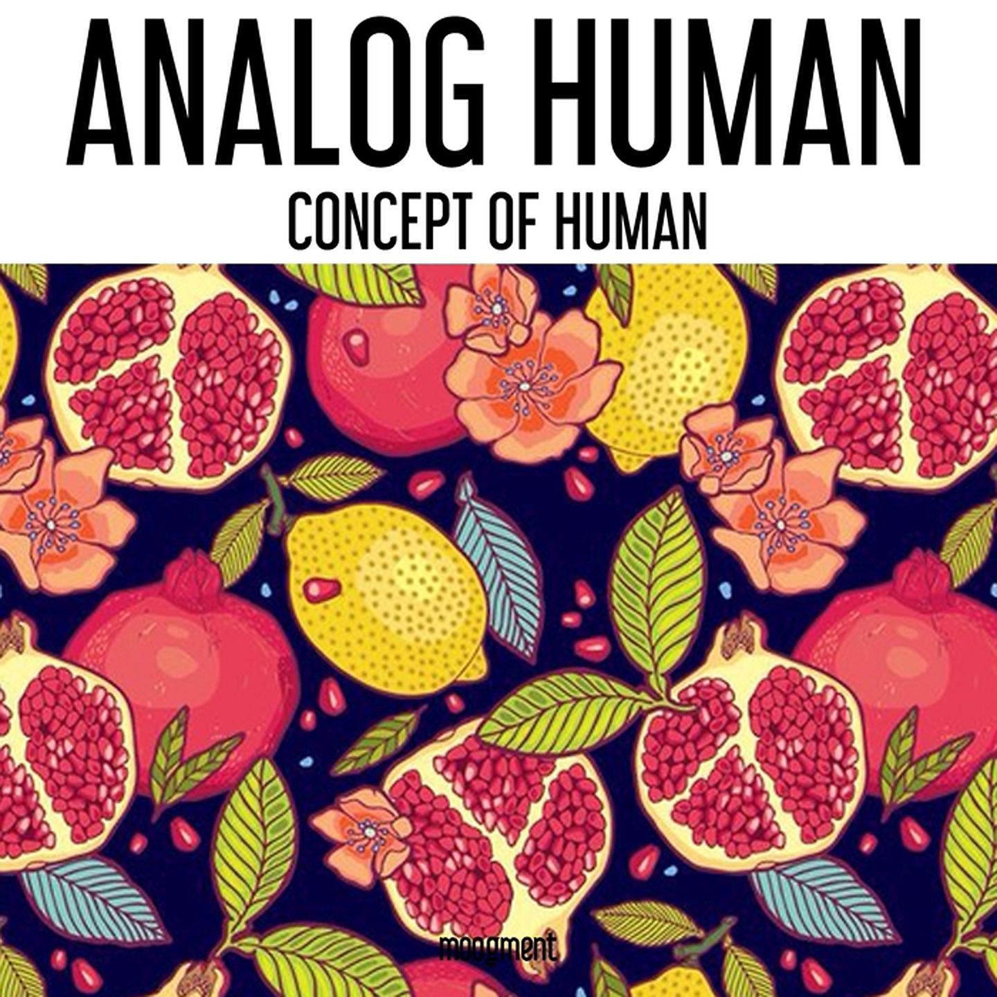 Постер альбома Concept Of Human